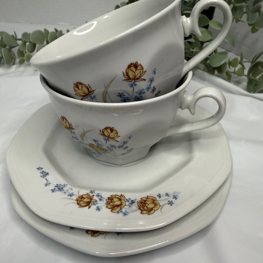 ☕ Tognana Made in Italy‎ Floral  Set Of 2 Cups And Saucer Plates